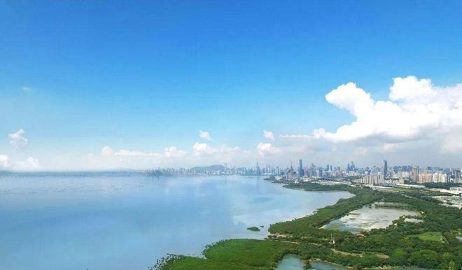 中洲迎海（网站）深圳福田丨中洲湾迎海开盘价户型简介(图3)