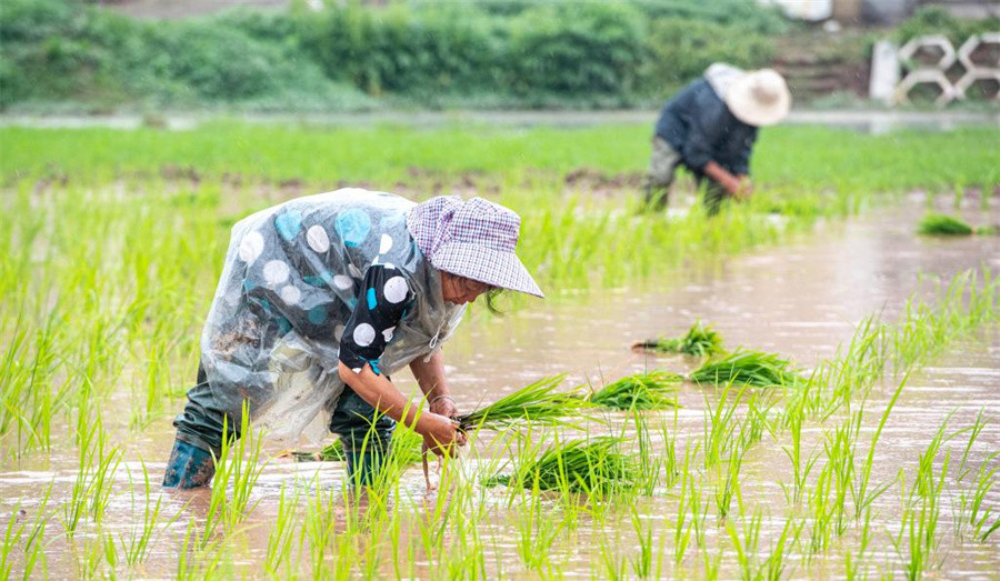 开云kaiyun江苏无锡出台楼市新政：个人购精装房补助20%契税