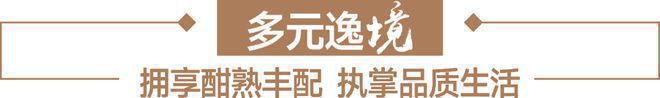 深圳星河盛境3期具体地址位置地图周边配套公交地铁交通(图10)