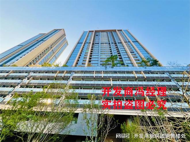 臻林悦湾汇2024年12月30日交房精装修交楼首付29万属实吗(图3)