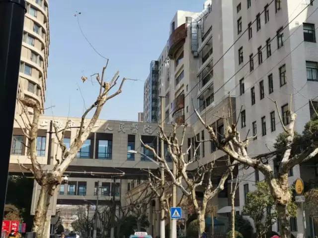 飘鹰世纪大厦售楼处()2024飘鹰世纪大厦售楼中心-最新详情