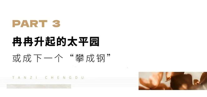2024的成都楼市当洋房被重新定义(图16)