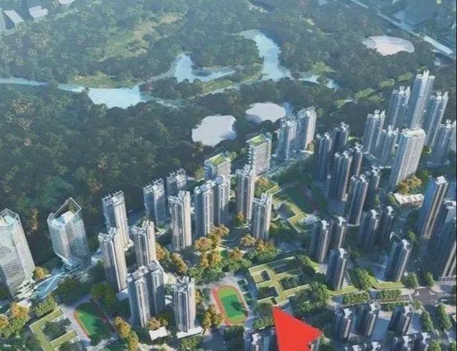 【】深圳光明桂语兰庭此心安处是绿城2024美好生活新实践(图12)