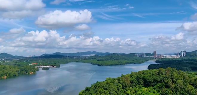 深圳汉园茗院A区(通知)2024最新深圳汉园茗院A区楼盘详情(图11)