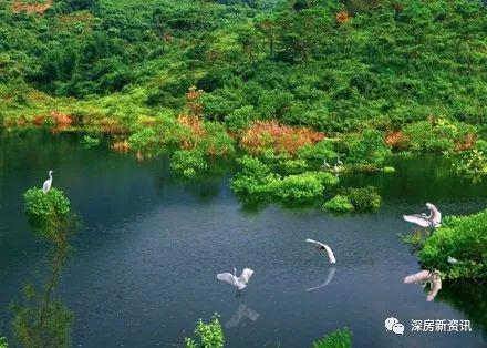 2024最新阳光香格里(通知)楼盘简介-房价-户型-交房-配套(图4)