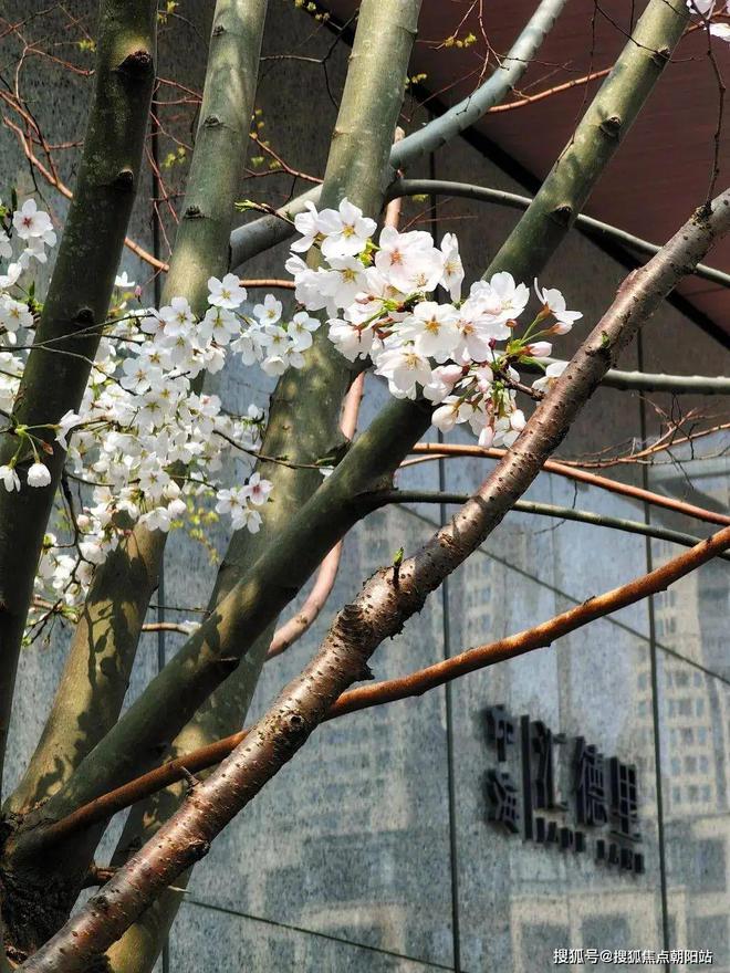 上海忱航建筑装饰工程有限公司被罚款10680元(图5)