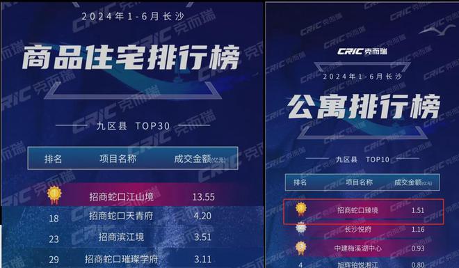 招商蛇口：荣获2024年上半年长沙城市销售TOP1(图3)