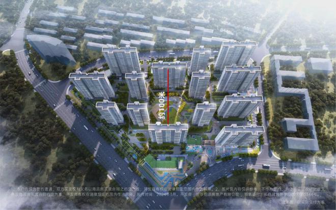 招商蛇口：荣获2024年上半年长沙城市销售TOP1(图11)