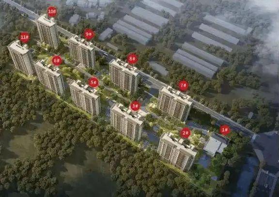苏州普禧观雲（2024最新楼盘详情）普禧观雲售楼处网站！