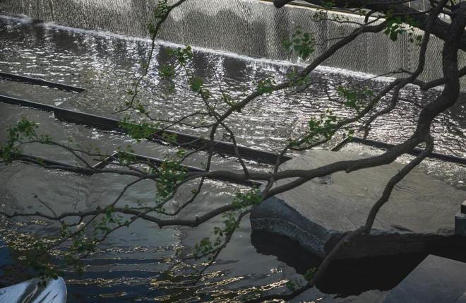 中铁建花语前湾2024楼盘咨询_闵行中铁建花语前湾交房物业公布(图14)