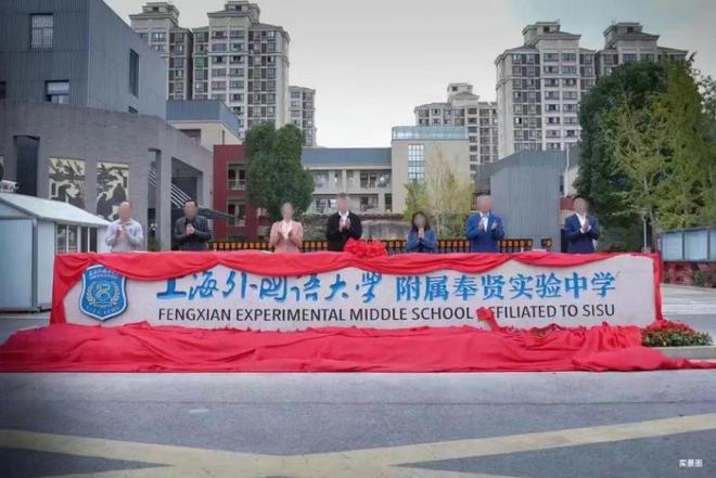 奉发·右岸晶邸（右岸晶邸）网站丨奉贤丨2024最新房价_户型图(图10)