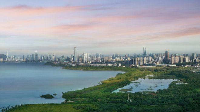 中洲湾迎海二期发布：福田中洲湾迎海2024年百科详情！(图10)