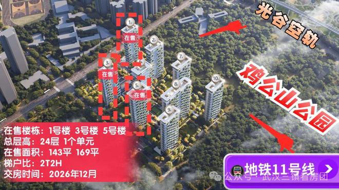 2024『中建壹品汉韵公馆』网站汉韵公馆售楼中心武汉房天下(图2)