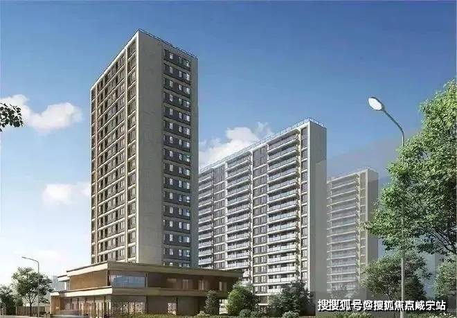 大华星曜(大华星曜)2024年户型详情-交付精装修-容积率-区域环境(图12)