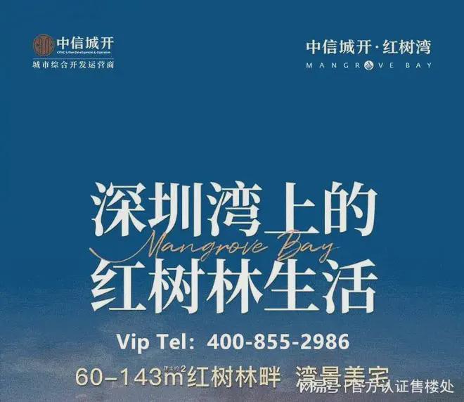 发布：2024最新中信城开红树湾房价多少精装交付85万㎡起(图3)