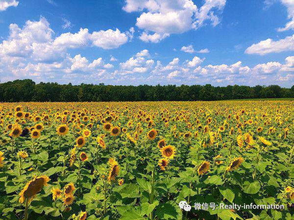 万科云庐-售楼处(万科云庐)网站-2024新首页欢迎您-楼盘百科(图6)