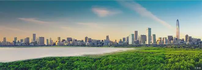 金地环湾城售楼处-金地环湾城2025首页网站欢迎您-深圳房天下(图5)