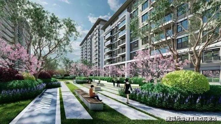 上海松江新城【恒都云湾】精装住宅(2024恒都云湾)首页网站-楼盘详情-户型配套(图5)