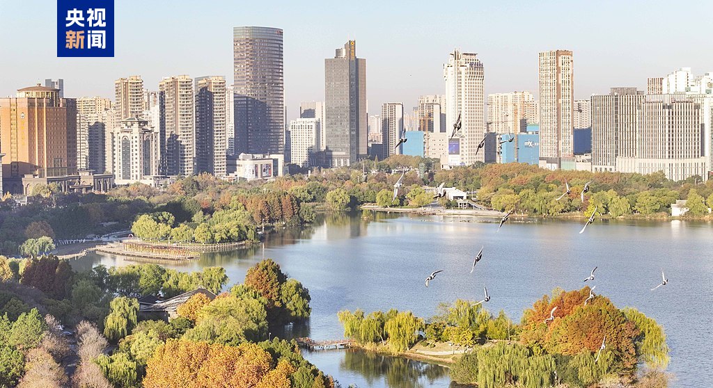 涉及买房、报销、电诈惩戒！12月新规这些细节与你有关(图8)