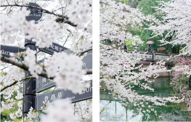 ☎中建虹悦里售楼处中建虹悦里网站发布：一房一价表首发(图19)