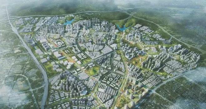 和成金竹家园深圳实验学校坂田校区、扬美实验学校、深圳科学高中(图2)