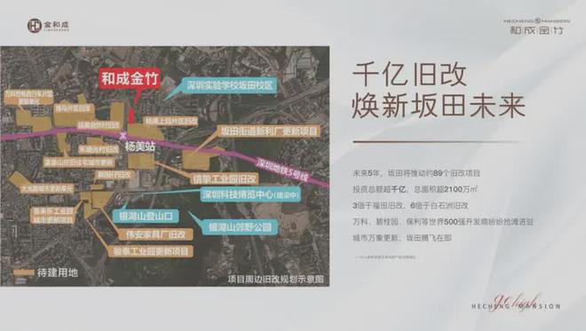 成金竹家园位于龙岗区环城路与发达路交汇处占地约14万㎡(图3)
