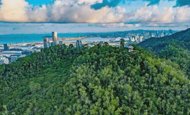 开云府南山1978·半岛擎峯单价546万㎡抄底南山住宅-山海豪宅(图7)