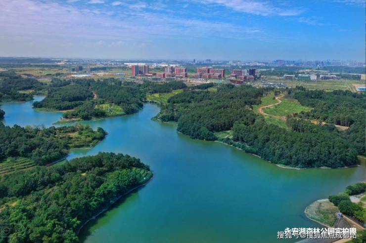 天府菁萃里-成都天府菁萃里首页网站售楼处电话最新价格户型图楼盘详情成都房产网