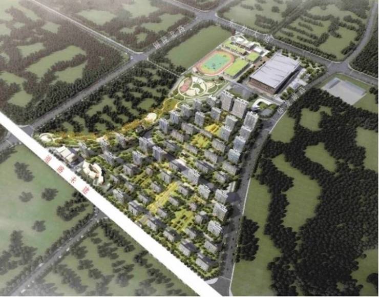 新站区招商奥体公园项目户型图-值得买吗(图2)