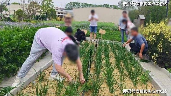尚湾林语实景现房售楼处联系电话尚湾林语售楼中心热线楼盘百科首页网站楼盘评测及最新价格首页网站全天候热线(图36)