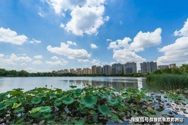 虹桥璀璨领峯售楼处)首页网站丨2025【虹桥璀璨领峯】欢迎您售楼处电话地址备案价楼盘详情(图2)