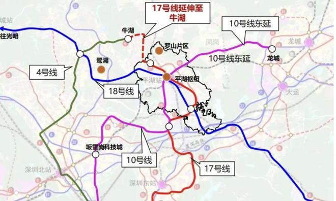 深圳龙岗平湖：远洋城首付99万95%实用率+多飘窗+双面宽阳台(图10)