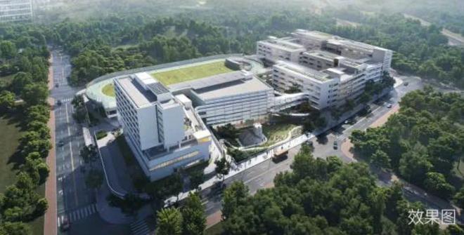 深圳龙岗平湖：远洋城首付99万95%实用率+多飘窗+双面宽阳台(图12)