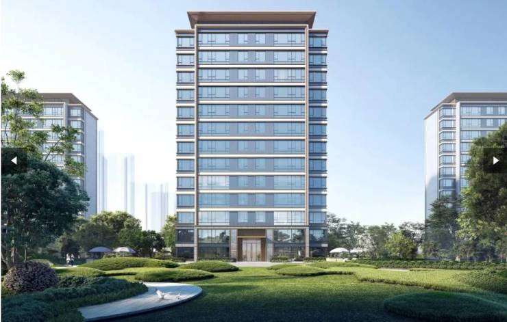 合肥新华星耀翰林新房周边配套-学区(图2)