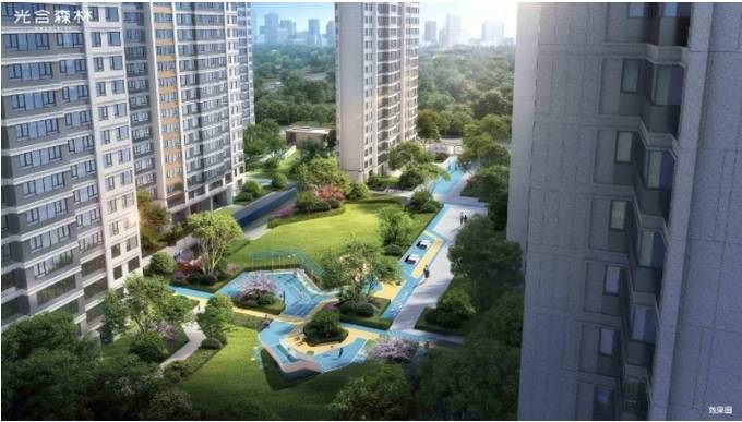 合肥光合森林楼盘怎么样-学区