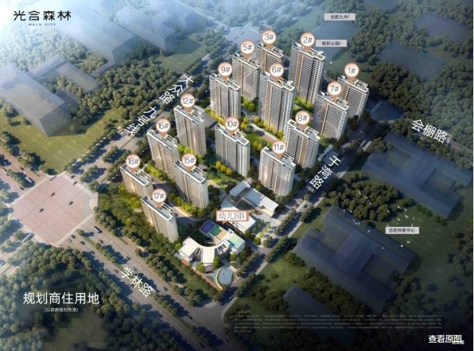 合肥光合森林楼盘怎么样-学区(图2)