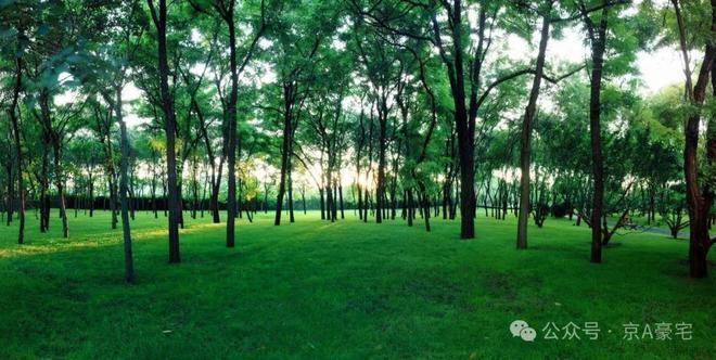 缦合北京售楼处-2025首页网站-缦合北京楼盘详情-房天下(图8)