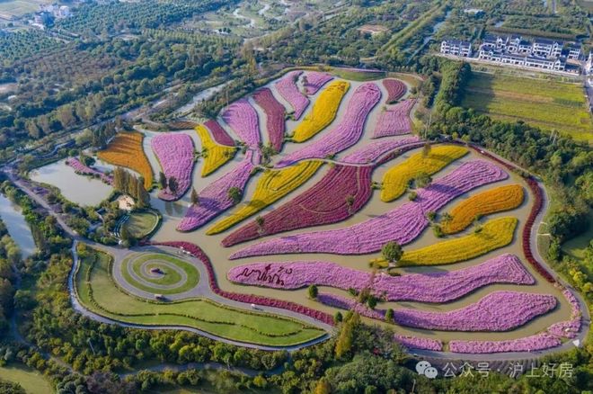 新未来·樾湖网站-新未来·樾湖2024最新房价＋户型图-楼盘测评(图7)