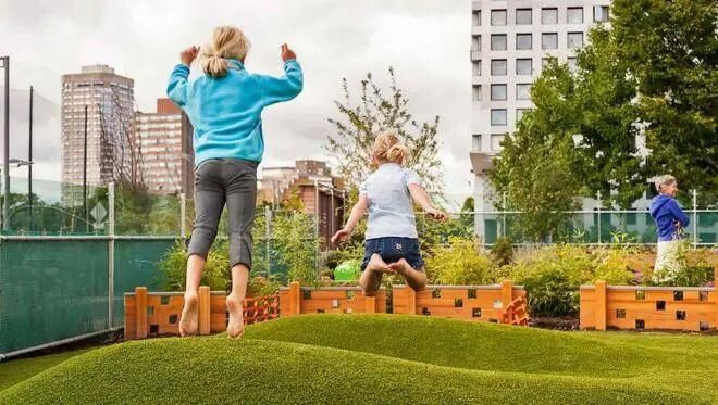 涨停雷达:装饰园林+亏损收窄+珠海国资+ST摘帽预期ST宝鹰触及涨停(图11)