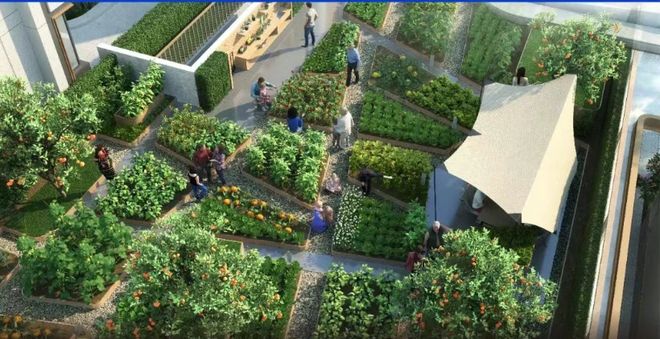 十月豪宅聚焦@上海奉贤贝涟C1售楼处发布：贝涟C1引爆购房热潮