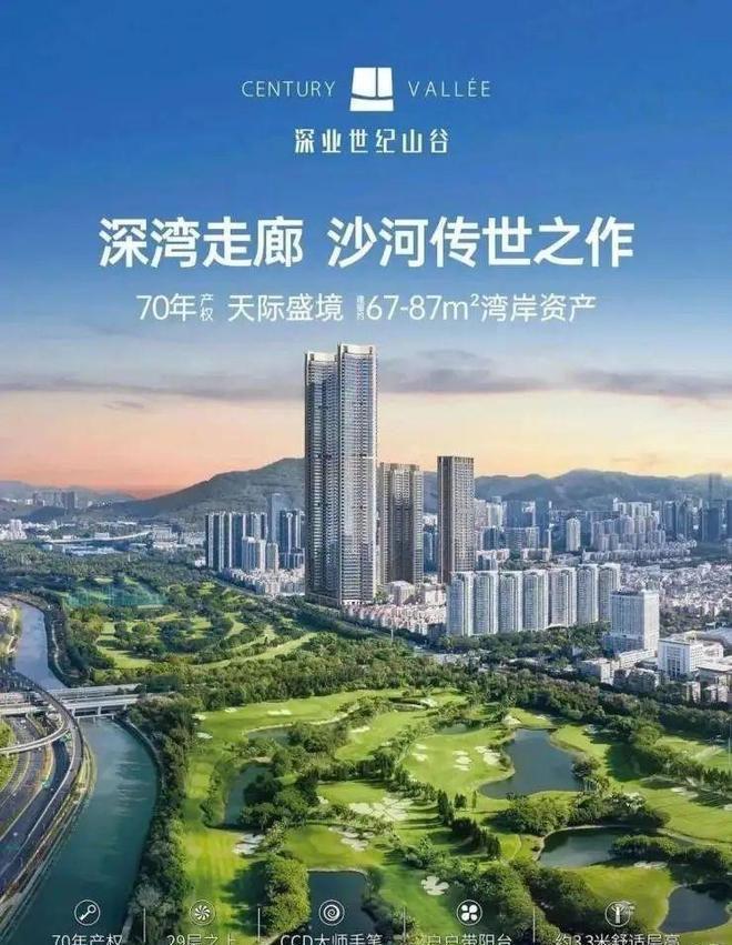 权威工抵房｜深业世纪山谷‌‌售楼处电话✅营销中心年末特价(图3)