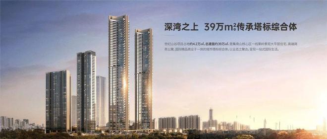 权威工抵房｜深业世纪山谷‌‌售楼处电话✅营销中心年末特价(图5)