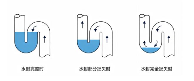 抱歉了这才是「好房子」上限(图8)