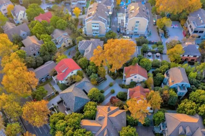 五项目入选全国典型案例！金螳螂解读“保护与创新”