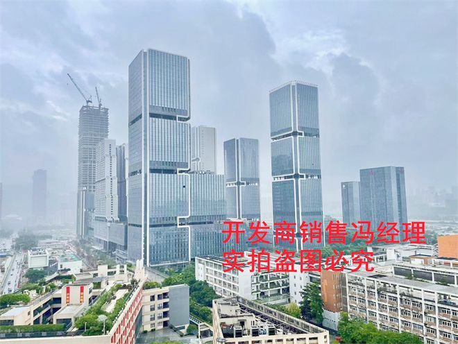 南山丹华公馆学位怎么样楼盘项目均价多少是公寓吗还是住宅(图2)