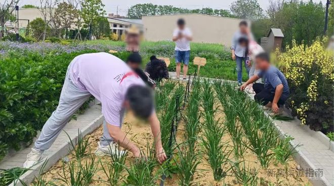 全面测评发布：尚湾林语优缺点都很明显的楼盘尚湾林语价值几何？(图23)