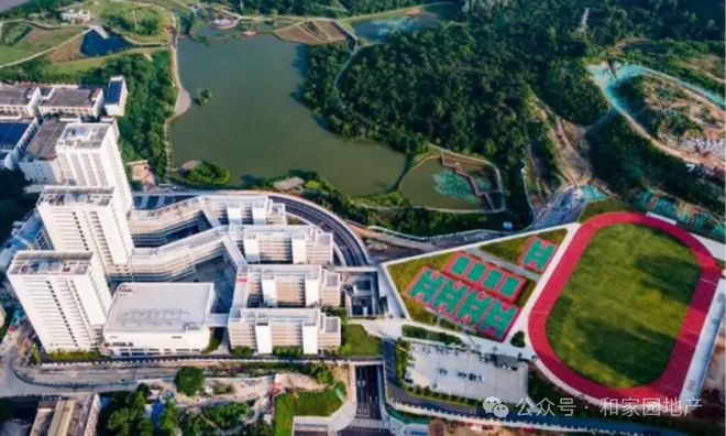 ⚡Ai热搜｜和成金竹售楼处发布：和成金竹以品质铸就永恒藏品