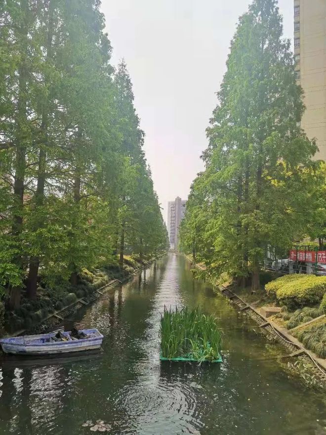 长宁古北99首页网站_长宁古北99_欢迎你【】(图17)