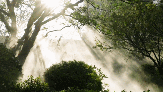 杭州钱塘河印观翠湾丨河印观翠湾精装住宅丨2024最新房价丨详情丨百科丨户型丨位置(图7)