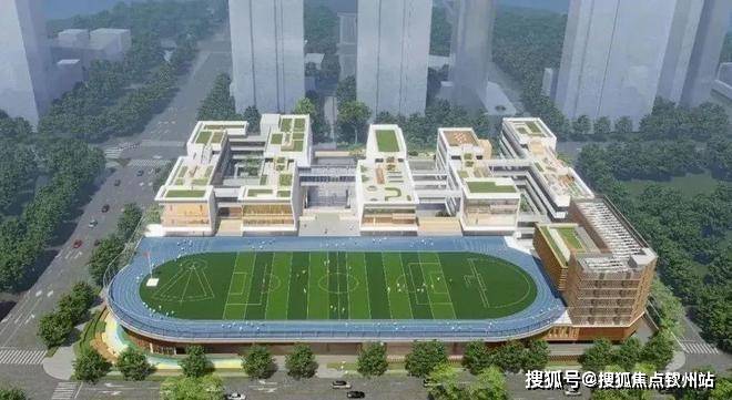 深圳自贸·湾啟紫荆？今日聚焦@售楼处发布：书写未来新篇章(图3)